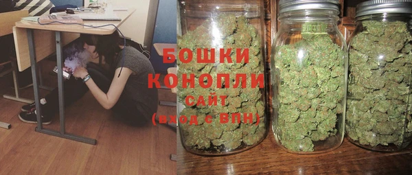 твердый Алзамай