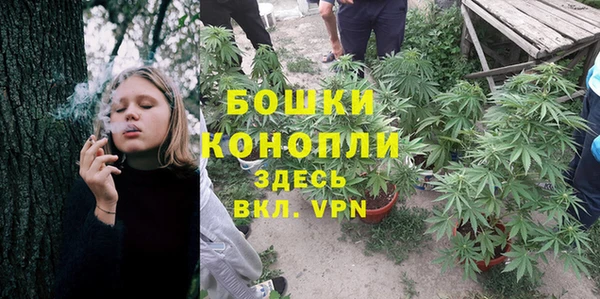 твердый Алзамай