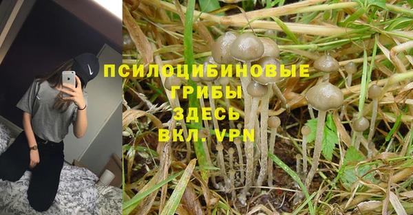 кокаин колумбия Алексин