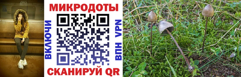 Галлюциногенные грибы Cubensis  продажа наркотиков  Кимры 