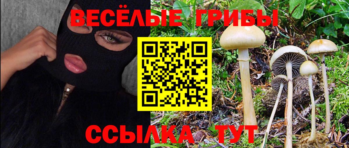 Галлюциногенные грибы Magic Shrooms Кимры